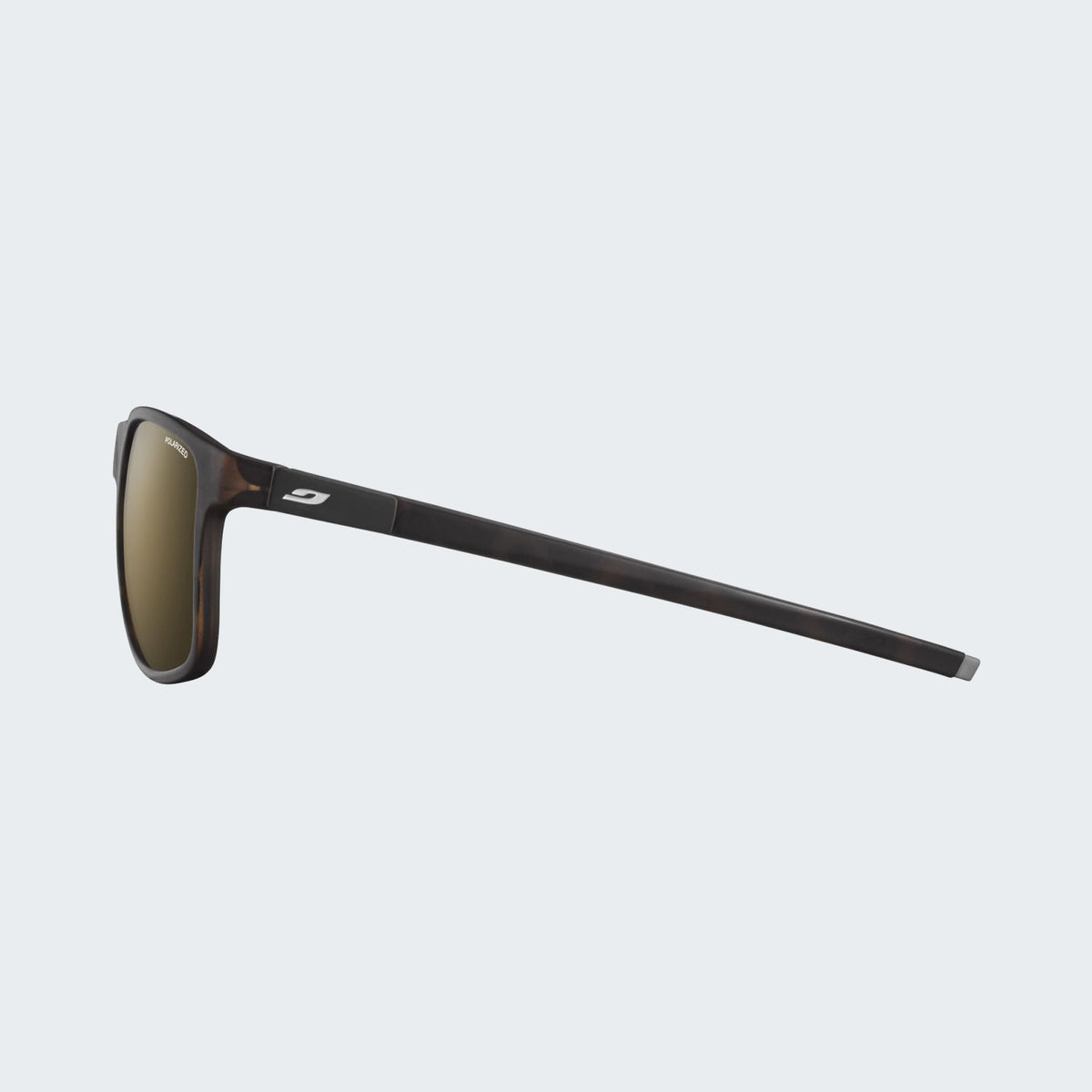 Tortoise Brown