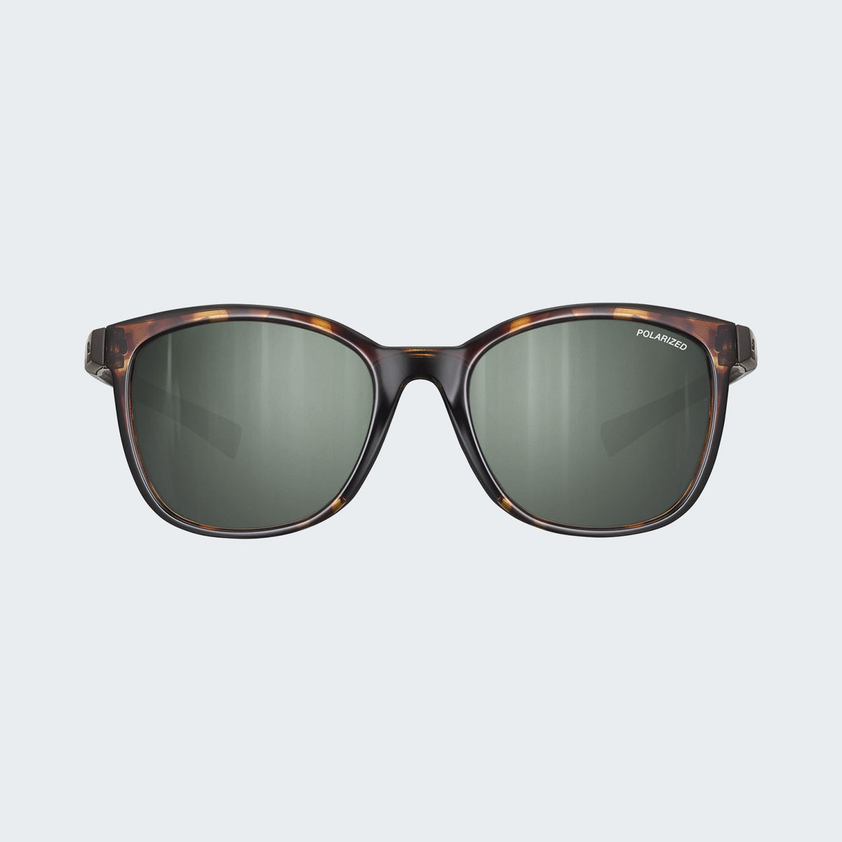 Shiny Tortoise Shell / Brown (Spectron Polarized 3)