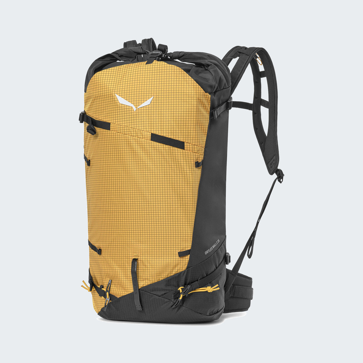 1407-Gold/Black
