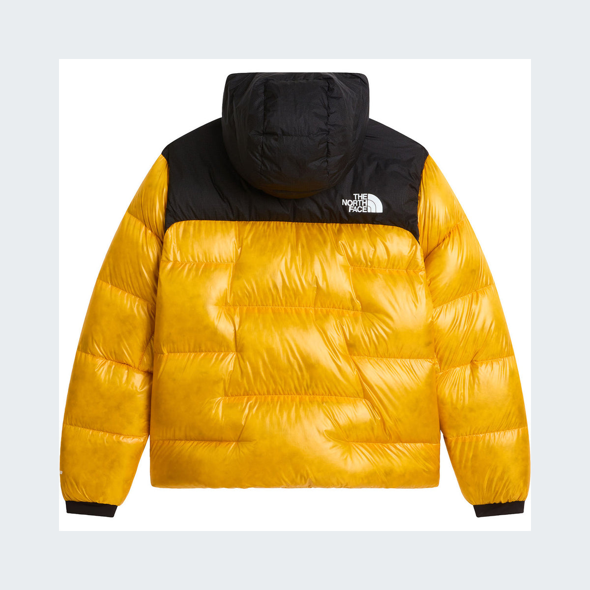 Summit Gold/TNF Black