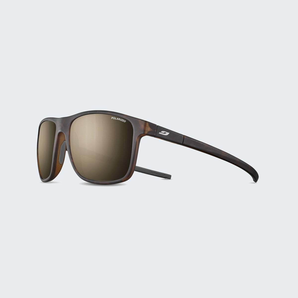 Tortoise Brown