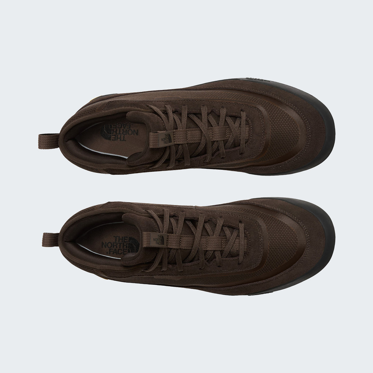 Dark Chestnut/Tnf Black