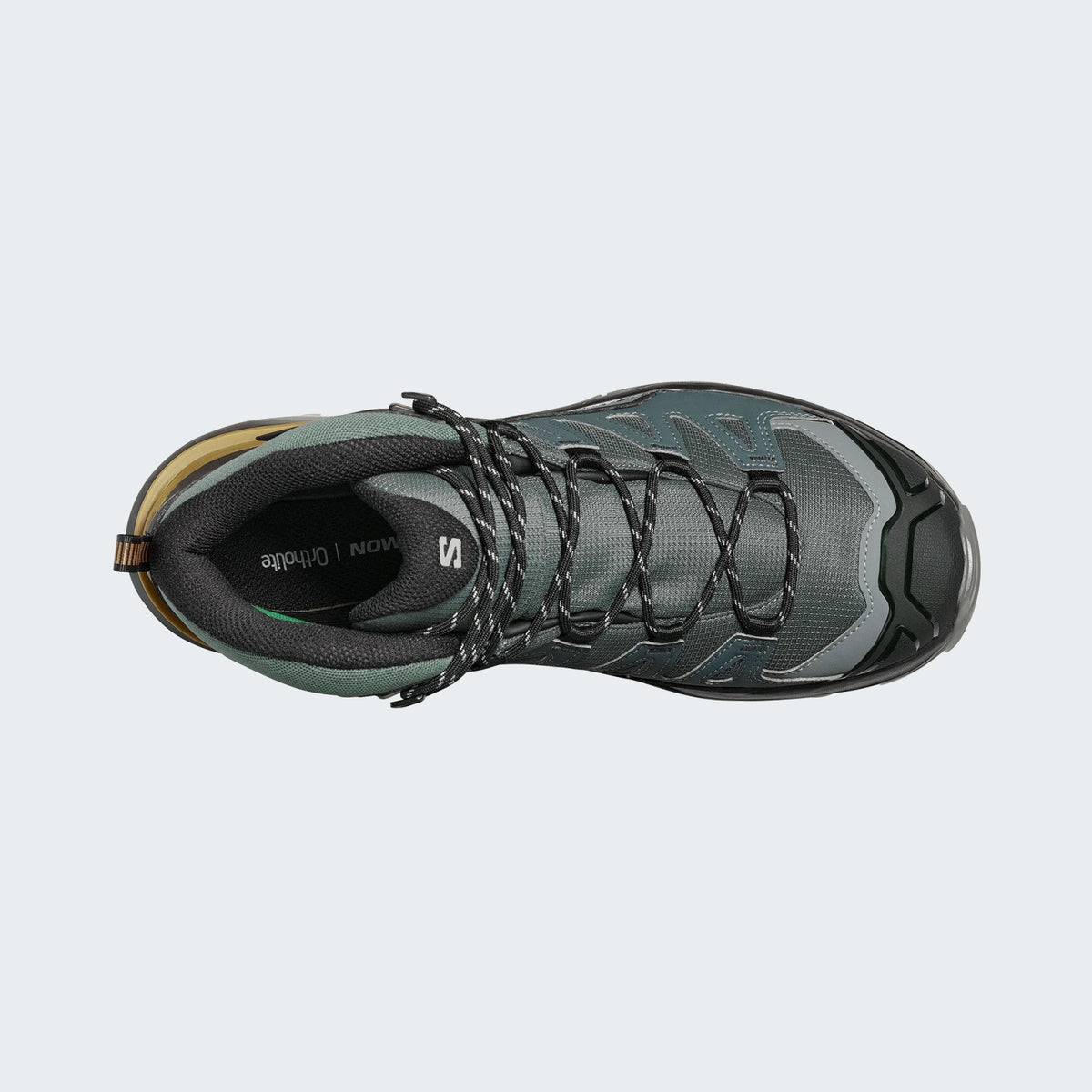 Urban Chic/Black/Brilliant Olive