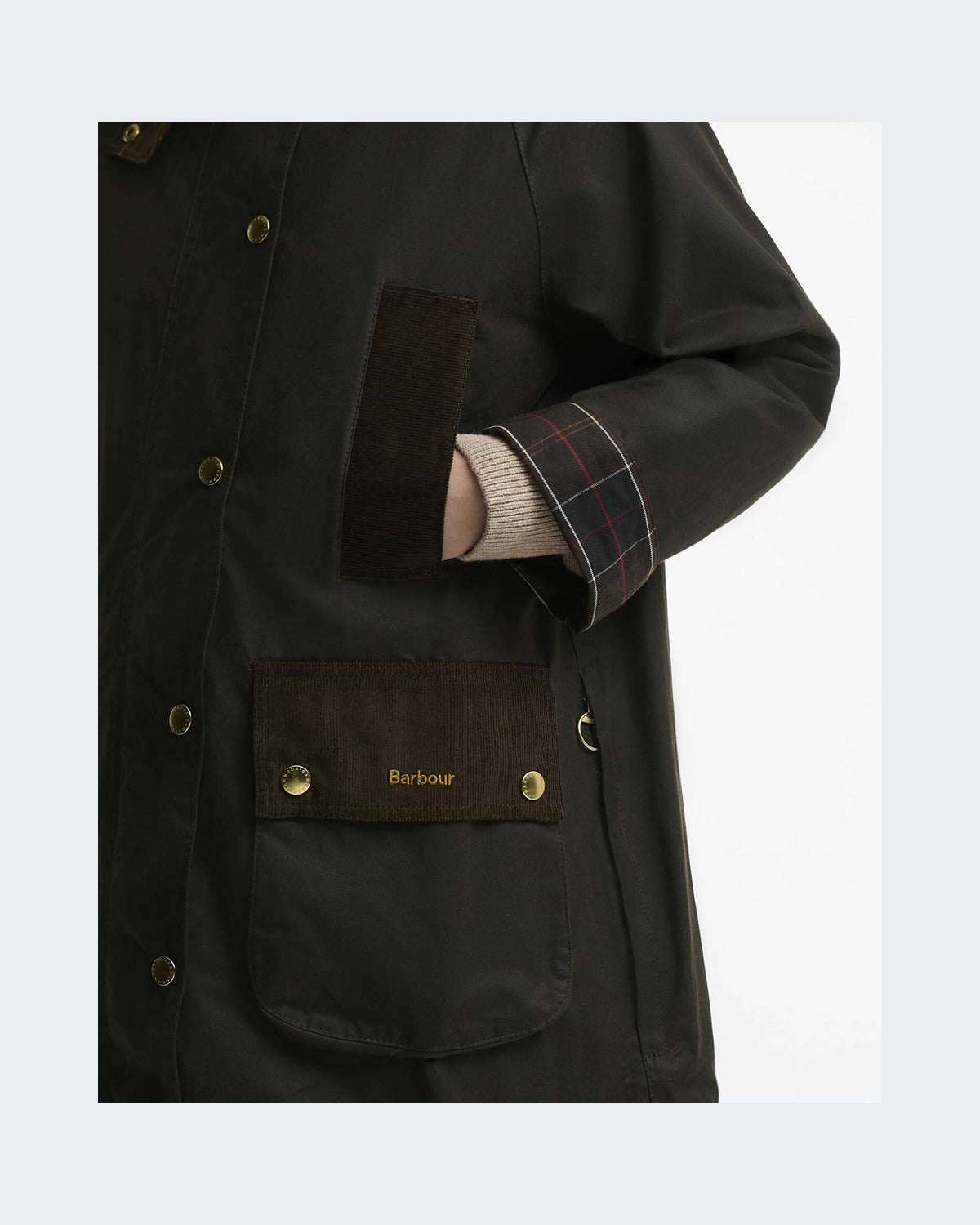 Olive/Classic