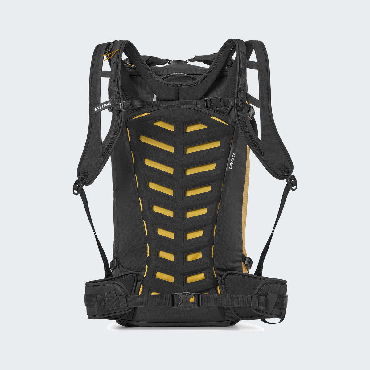 1407-Gold/Black
