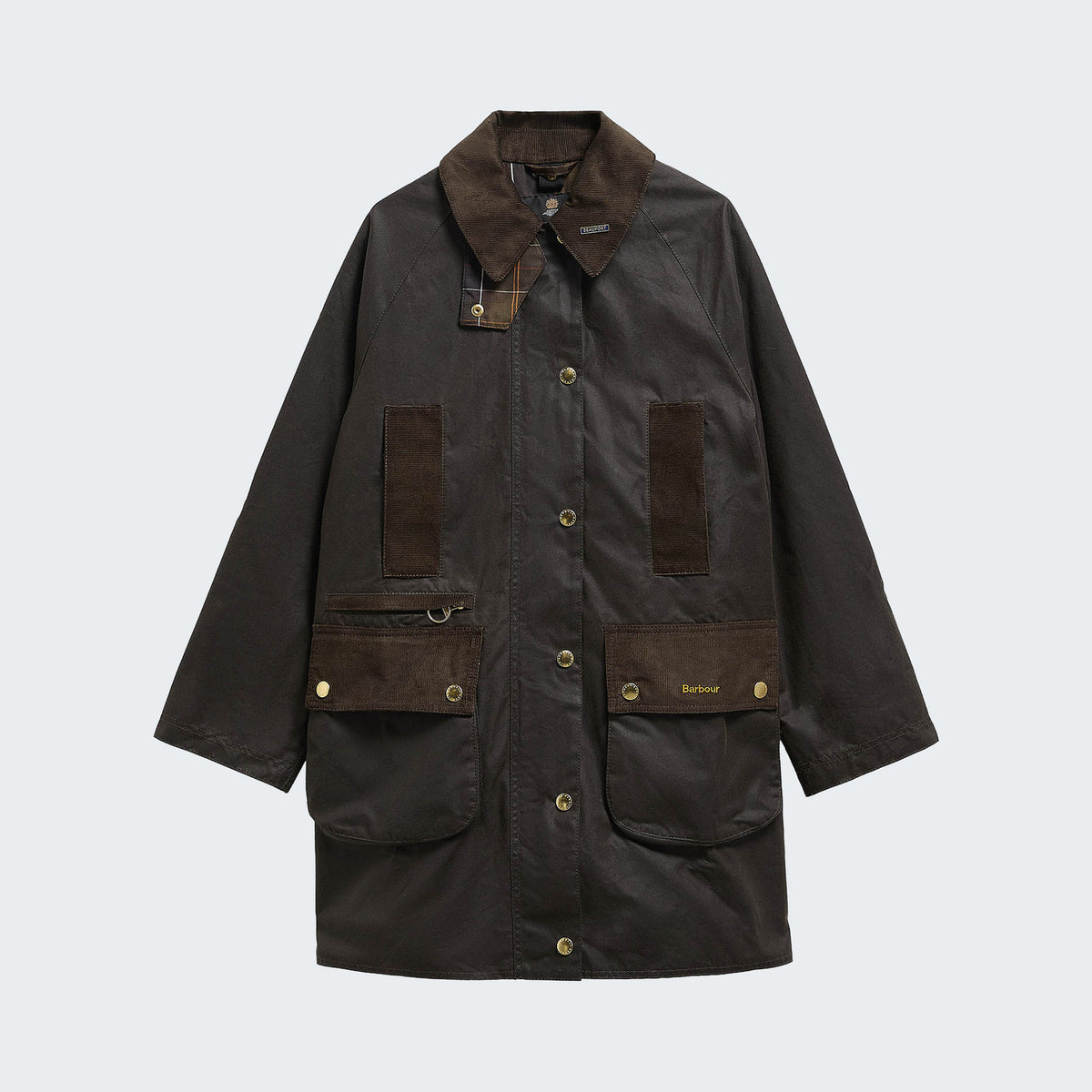Olive/Classic