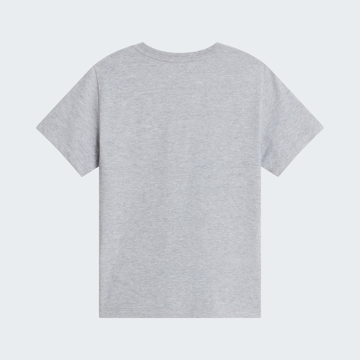 TNF Pale Grey Heather