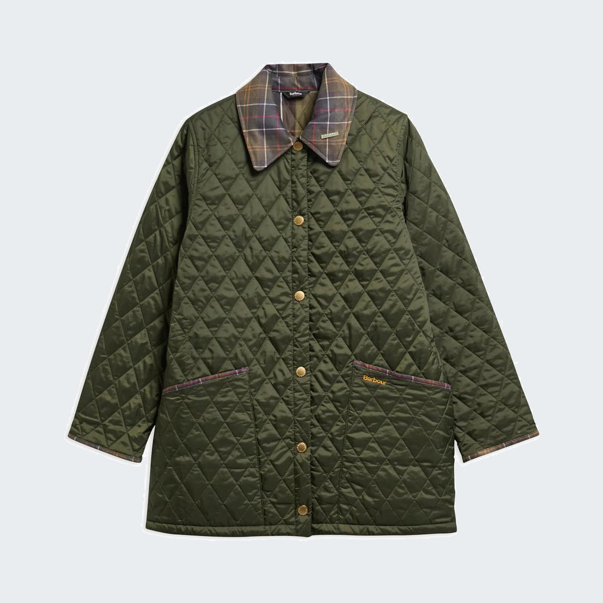 Olive/Classic