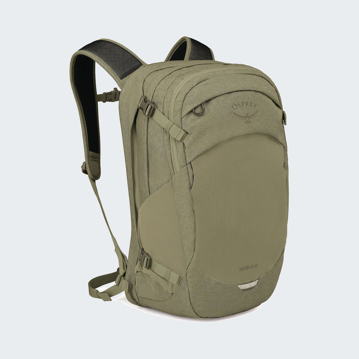 Olive Tan
